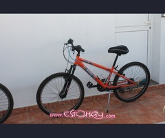 bicicletas para mujer / niños