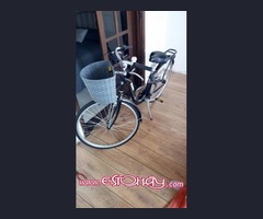 Bicicleta Monty Mujer