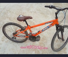 Vendo bici Blast Berg Junior