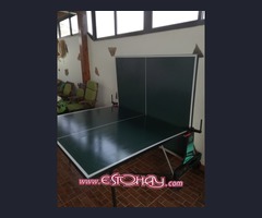 Mesa Ping Pong