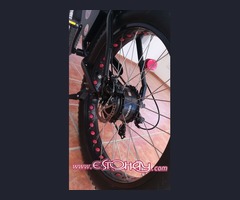 Bicicleta eléctrica/Fatbike/retro