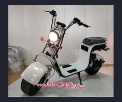 YQ 500w / 48v Two Seater Mini City Coco Electric Motorcycle Ebike Scooter NUEVO