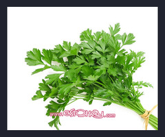 Se Vende Perejil, Hierbahuerto, Cilantro en macetas