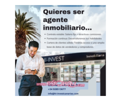 Agente Inmobiliario