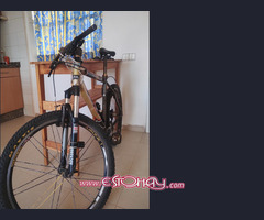 Bici mtb bh